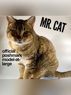 Mr. Cat, Official Poshmark Model